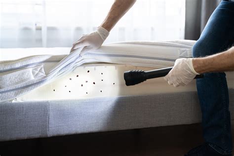 Bed Bug Removal | Phoenix, Tucson, Las Vegas | Burns Pest