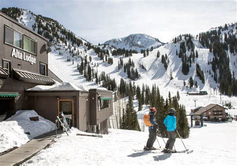 Alta Lodge | Ski In Ski Out Accommodation