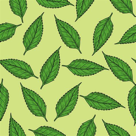 Leaf Pattern Free Stock Photo - Public Domain Pictures