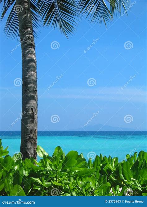 Thailand - Paradise Beach I Stock Image - Image of bamboo, nature: 2375203