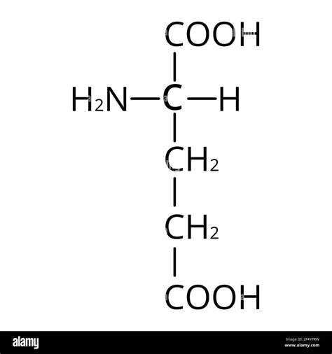 Glutamic acid is an amino acid. Chemical molecular formula glutamic acid amino acid. Vector ...