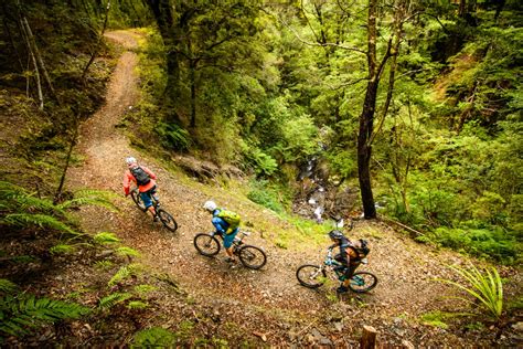 Mountain Biking the Best Trails on New Zealand's South Island ...