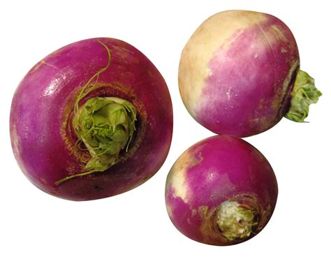 Turnip PNG Image - PurePNG | Free transparent CC0 PNG Image Library