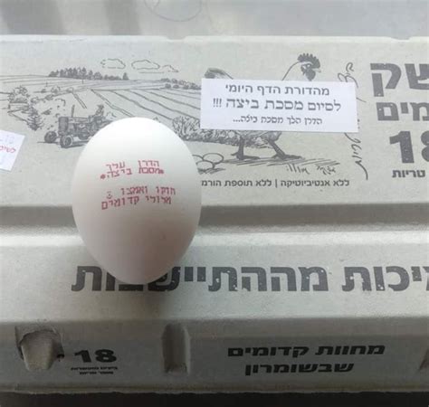 Daf Yomi Siyum - Special Egg Edition