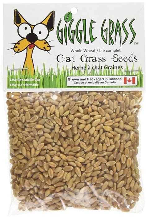 Giggle Grass - Cat Grass Seeds - 125 g - Biopaw