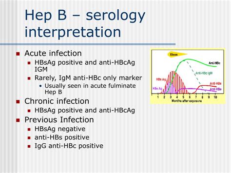 PPT - Hepatitis B PowerPoint Presentation - ID:342774