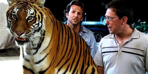 Big Cat Expert Doles Out Some Harsh Truths On The Hangover's Use Of Tigers