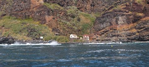 Madeira: Yacht Tours - Wildlife & Bays, Sunset, Desert Isles