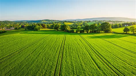 Aerial view over healthy green crops in patchwork pasture farmland ...