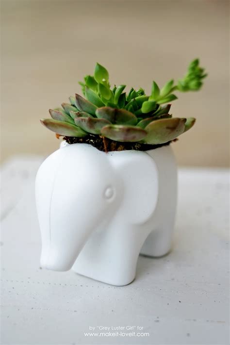 DIY Toy Elephant Succulent Planter | Make It and Love It