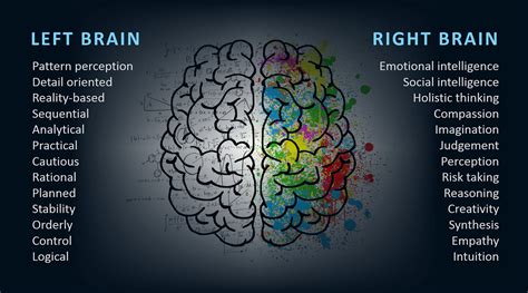 Difference Between Left Brain and Right Brain | Education