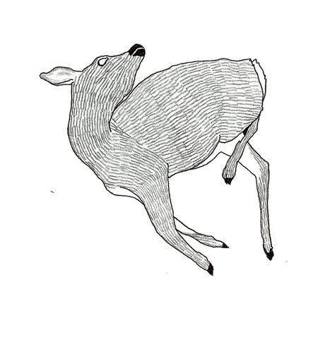 Dead Animal Drawing | Free download on ClipArtMag