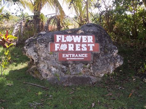 Flower Forest Barbados | botanical gardens | things to do