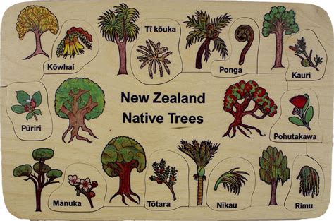 NZ Native Trees Puzzle (10pcs) - Play‘n’Learn – Educational Resources