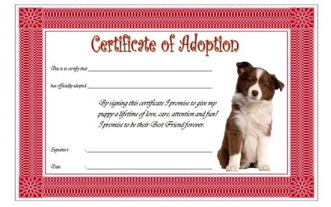 Dog Adoption Certificate 6 – Fresh & Professional Templates