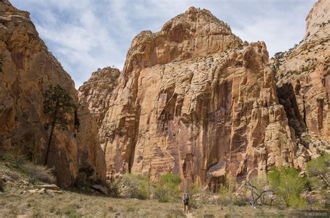 Escalante Canyon | Grand Staircase-Escalante National Monument, Utah | Mountain Photography by ...