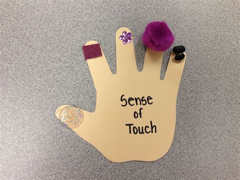 Five Senses Craft -Sense of Touch For more Five Senses activities, please visit www ...