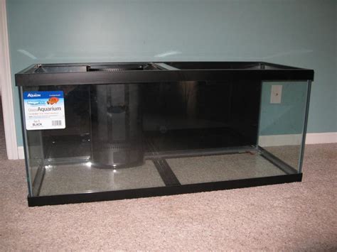 75 Gallon Glass Aquarium | Glass aquarium, All glass aquarium, Aquarium design