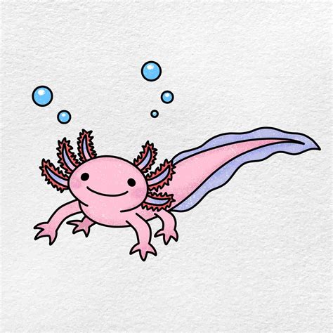 How to Draw an Axolotl - HelloArtsy