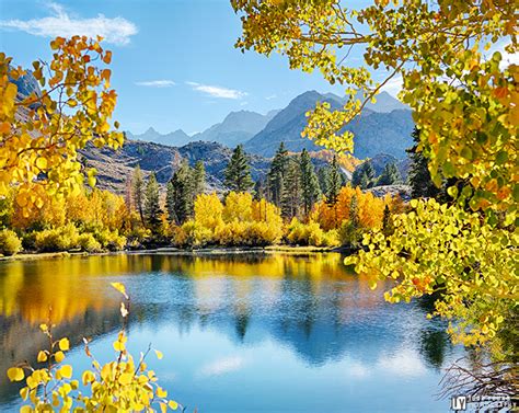 Eastern Sierra Fall Colors — Todd Young Photography