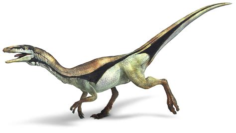 Compsognathus | Compsognathus Facts | DK Find Out