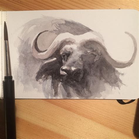 Watercolor Buffalo – Khasis Lieb Art