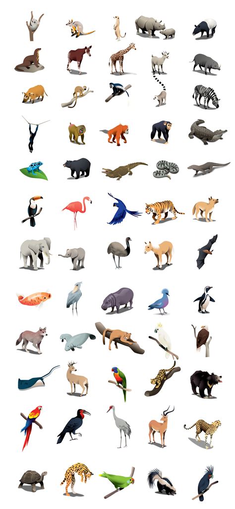 Lowry Park Zoo, Florida :: Behance