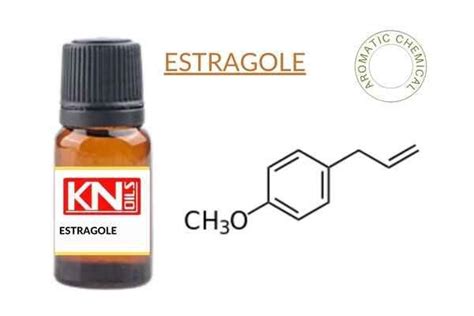 ESTRAGOLE - Buy best quality in Delhi, INDIA | KANHA NATURE OILS