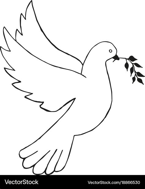 Dove With Olive Branch Drawing