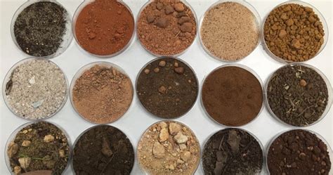 Relationship Between Soil Color and Climate | Geology In