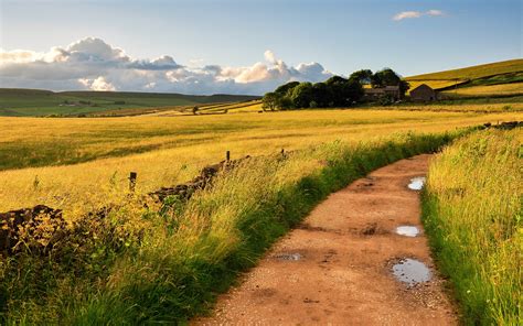 Countryside, England, Britain, fields, road, grass, wind wallpaper ...