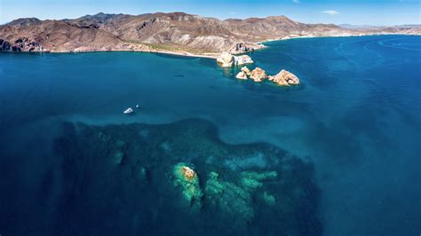 Scuba diving in the Sea of Cortez | ZuBlu