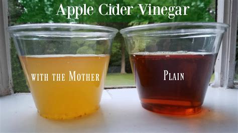 What is Apple Cider Vinegar "With the Mother?" – Happy Days Farm