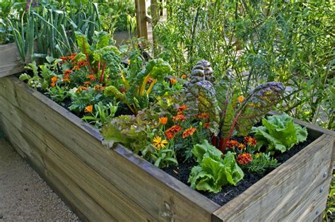 How to Create a Container Vegetable Garden