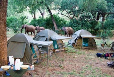 Camping at the Kruger National Park | Park south, Kruger national park, Africa travel