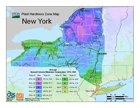 New York USDA Plant Hardiness Zone Map - Ray Garden Day