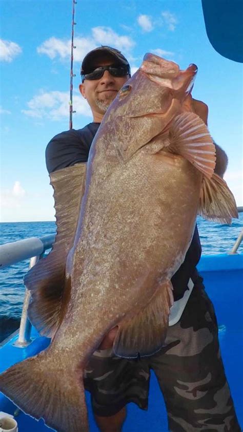 Jumbo red grouper - Coastal Angler & The Angler Magazine