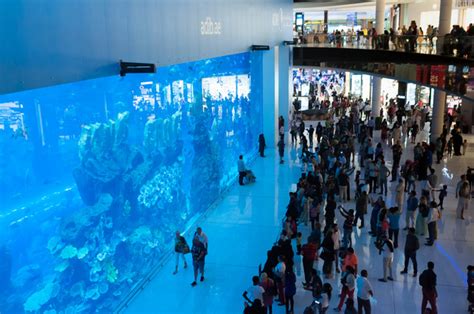 Dubai mall aquarium Photos in .jpg format free and easy download ...