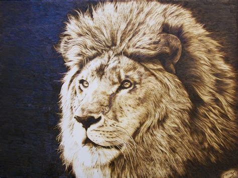 The Lion..Julie Bender | Pyrography patterns, Pyrography, Pyrography art