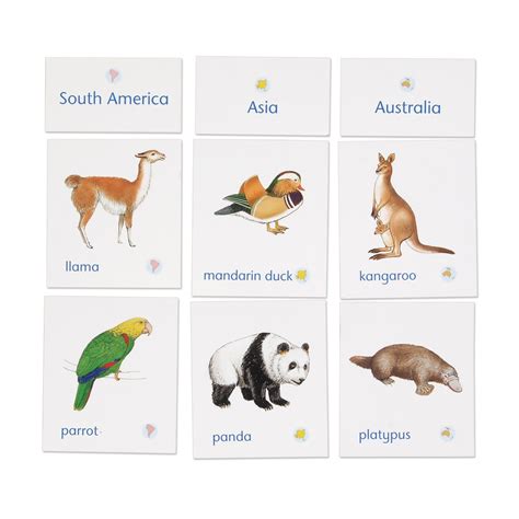 Animals of Seven Continents Classification Cards with Labels ...