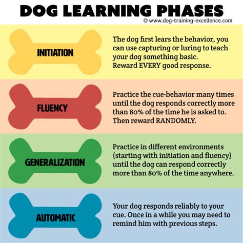 Fear Barking Dog Problem: 10 Steps to a Solution