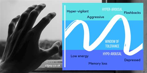 The Window of Tolerance for PTSD - Trauma Recovery