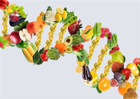 Can the food we eat change our genetics? · Mahan Health