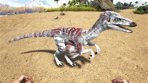 Troodon - Official ARK: Survival Evolved Wiki