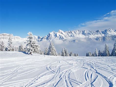 Skiing in Switzerland: 8 Reasons to Plan a Eurotrip This Winter