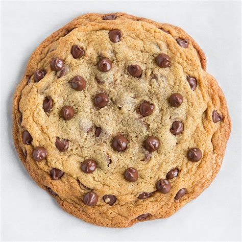 Chocolate chip cookie - Alchetron, The Free Social Encyclopedia