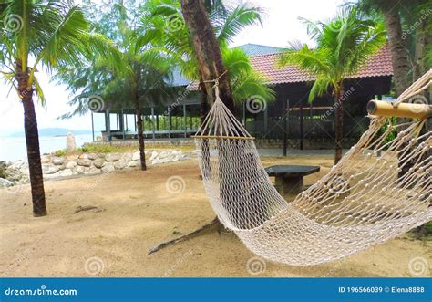 Empty Hammocks on the Beach . Stock Image - Image of tourism, relaxation: 196566039