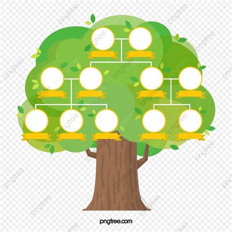 Dibujado A Mano Verde De Dibujos Animados árbol Genealógico árbol ...