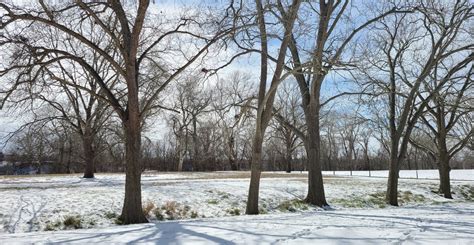 Weathering Winter Storm Uri in Columbus, Texas – Nurturing Adventure