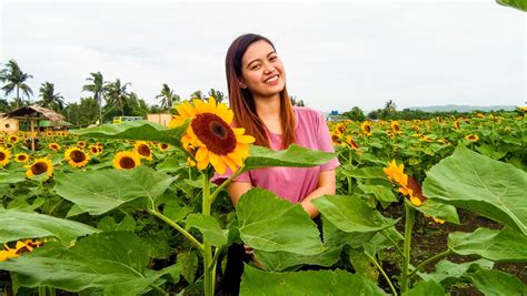 "I'm a sunflower, a little funny" | Sunflower, Funny, I.m.